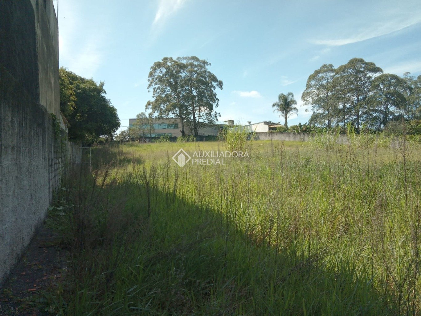 Terreno à venda com 1 quarto, 10266m² - Foto 1